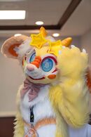 Fursuit 33