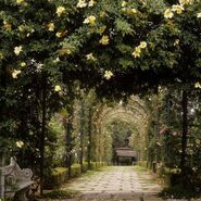 Ornate-garden-arch