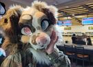 Collie fursuit 3