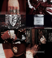 Gryffindor aesthetic
