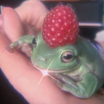 Featured image of post The Best 30 Frog And Toad Aesthetic Outfits