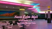 Welcome to Neon Palm Mall; the Mall of the Future
