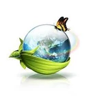 Downloadd (8).png (60 KB)