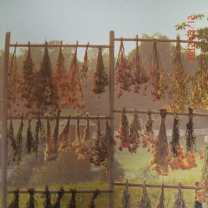 Cottagecore Aesthetics Wiki Fandom