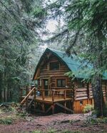 Log cabin