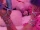 9cfeea24c5ef368a031ad97f7c342eb9.gif