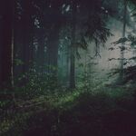 Dark Naturalism Aesthetics Wiki Fandom It interlocks with dark academia. dark naturalism aesthetics wiki fandom