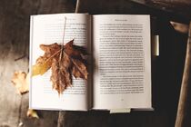 Book and Maple Leaf