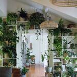 Featured image of post Artsy Plant Room Aesthetic : See more ideas about aesthetic rooms, aesthetic bedroom, aesthetic room decor.