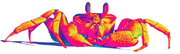Crab, Manguebeat Symbol.png