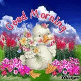 361519-Ducky-Good-Morning-Gif.gif (193 KB)