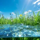 Frutiger-aero-water-and-grass.jpg (216 KB)