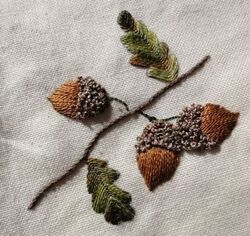 Acorn.jpg