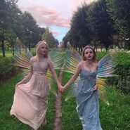 Fairies