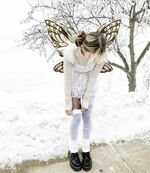 Winter Fairy Coquette 8