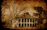 Whispering-in-the-cypresses-house.jpg (651 KB)