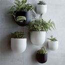 Ceramic indoor outdoor wallscape planters