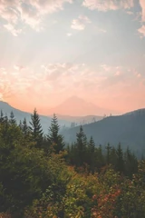 Naturecore 5.jpg (45 KB)