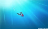 Windows 7 Fish Wallpaper.jpeg (126 KB) Windows 7 fish wallpaper