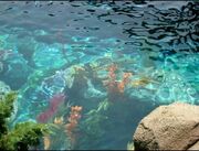 oceancore aesthetic example <3.
