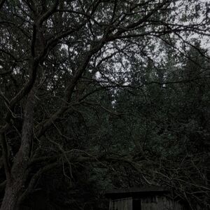 Cottagegore Aesthetics Wiki Fandom Connect and share knowledge within a single location that is structured and easy to search. cottagegore aesthetics wiki fandom
