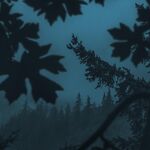 Dark Naturalism Aesthetics Wiki Fandom Thank you for the request, i hope. dark naturalism aesthetics wiki fandom