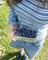 B733f3547fa30c12e2902ecf8ffc48cb.jpg (205 KB)