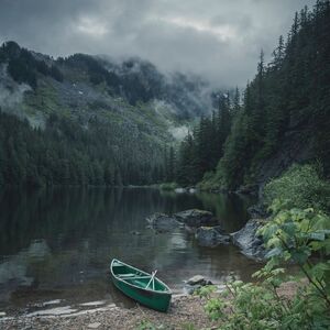 Dark Naturalism Aesthetics Wiki Fandom The academia look is all about doing more with less. dark naturalism aesthetics wiki fandom