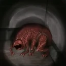 Vita carnis trimming.png (120 KB) 《活肉生命》(Vita Carnis)