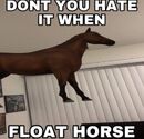 float horse