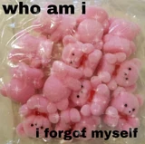 Who am i.jpg (73 KB)