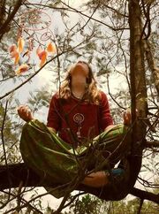 Hippie in tree