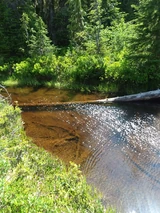 20190714 151846.jpg (3.74 MB)