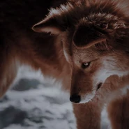 B40d650259196b8ecf917b7176204f3d.jpg (36 KB)