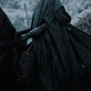 Apersonridingahorse.jpg (39 KB)