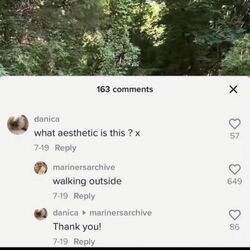 TikTok comments interaction