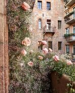 Verona balcony