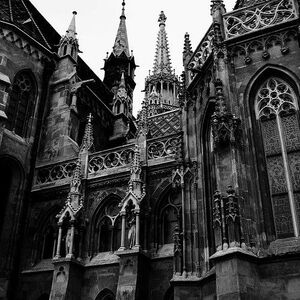 Queencore Aesthetics Wiki Fandom Find and save images from the gold castle collection by barbora (barbiethestargirl) on we heart it, your everyday app to get lost in what you love. queencore aesthetics wiki fandom