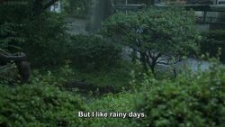 Rainy Day Aesthetics Wiki Fandom