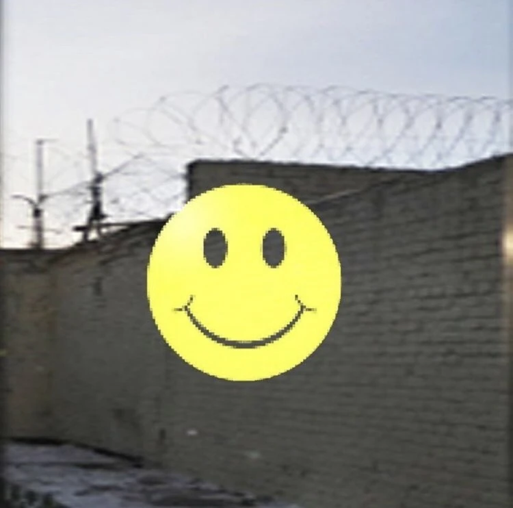 Cover per Do you Adore your City?