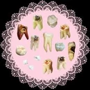 Teethcore image 2.jpg (12 KB) 圆形蕾丝图案上各种严重损坏的牙齿的图片。