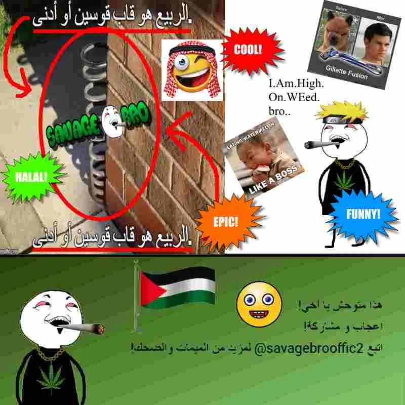 Arabfunny | Aesthetics Wiki | Fandom