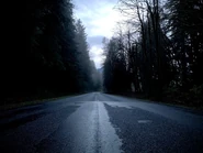 Mountain loop highway.jpg (164 KB)