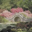 Fairy bridge