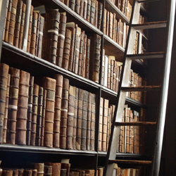pic Library Dark Academia Aesthetic Bedroom dark academia aesthetics wiki fandom