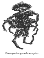 Manifest.png (245 KB) “Caranguejos com Cérebro” 1º Manifesto Movimento Manguebeat (1992)