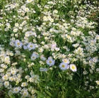 67fb0ecb1b62693fb863dae1305d1e39.jpg (123 KB)