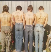 Sharpies-are-still-australias-coolest-gang-body-image-1438312335.png (908 KB)