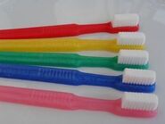 Rainbow toothbrushes