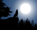 Moon-5544297 1920.jpg (188 KB)